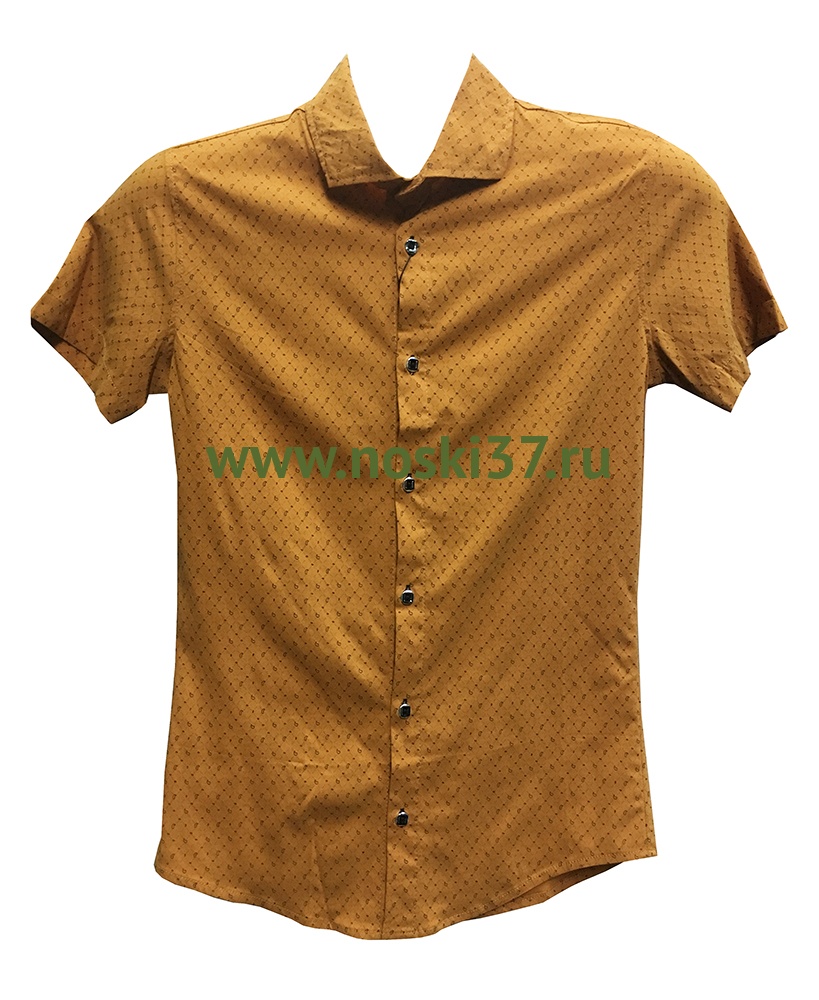 Рубашка мужская № 664-G38 купить оптом и мелким оптом, низкие цены от магазина Комфорт(noski37) для всей семьи с доставка по всей России от производителя.