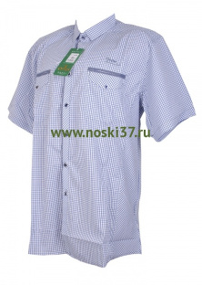 Рубашка мужская № 666-A206 купить оптом и мелким оптом, низкие цены от магазина Комфорт(noski37) для всей семьи с доставка по всей России от производителя.