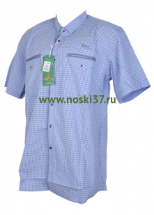 Рубашка мужская № 666-A206-3 купить оптом и мелким оптом, низкие цены от магазина Комфорт(noski37) для всей семьи с доставка по всей России от производителя.
