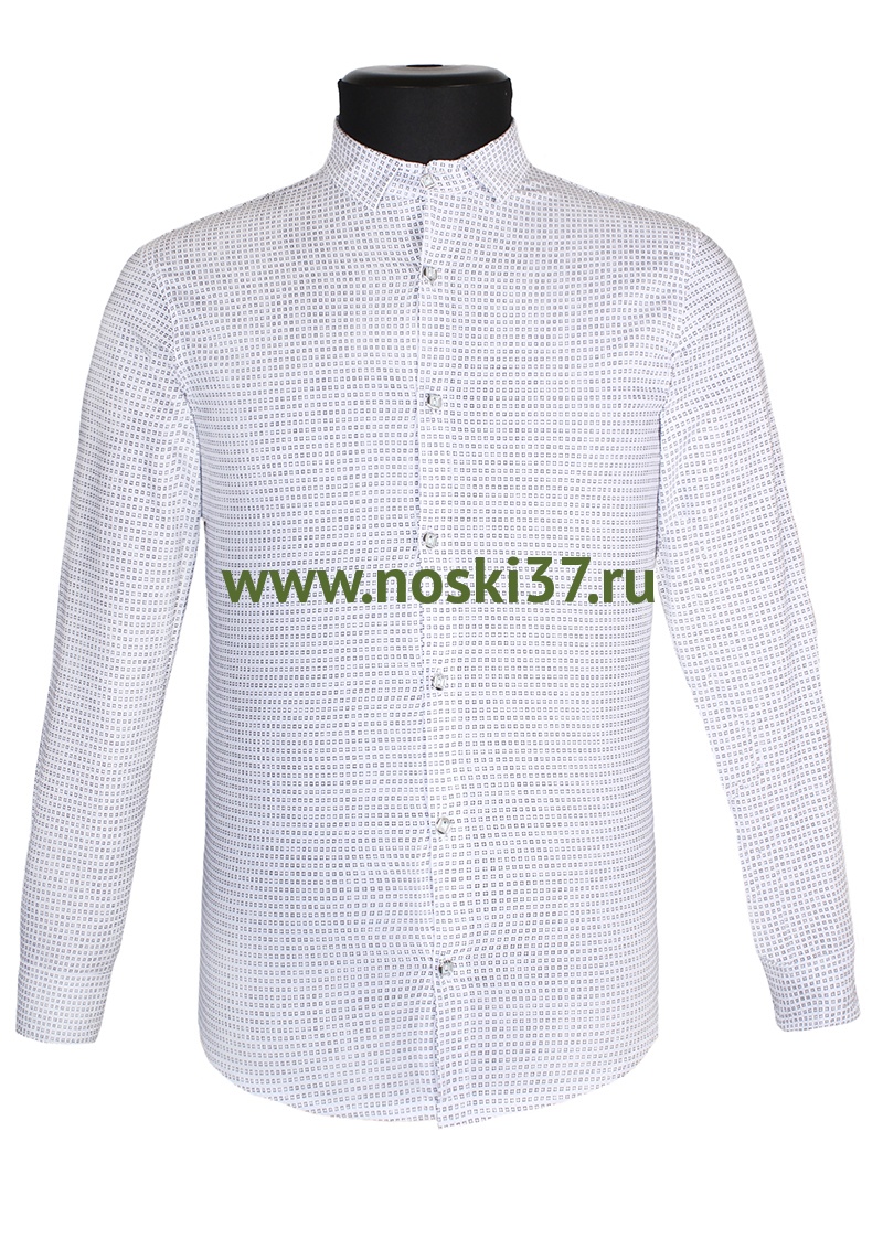 Рубашка мужская "Asan" № 664-5304 купить оптом и мелким оптом, низкие цены от магазина Комфорт(noski37) для всей семьи с доставка по всей России от производителя.