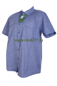 Рубашка мужская № 666-A101-3 купить оптом и мелким оптом, низкие цены от магазина Комфорт(noski37) для всей семьи с доставка по всей России от производителя.