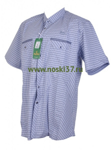 Рубашка мужская № 666-A206-2 купить оптом и мелким оптом, низкие цены от магазина Комфорт(noski37) для всей семьи с доставка по всей России от производителя.